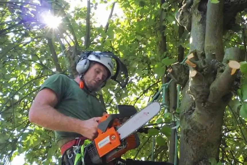 tree surgeon doncaster