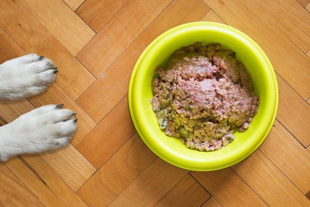 best puppy dry food
