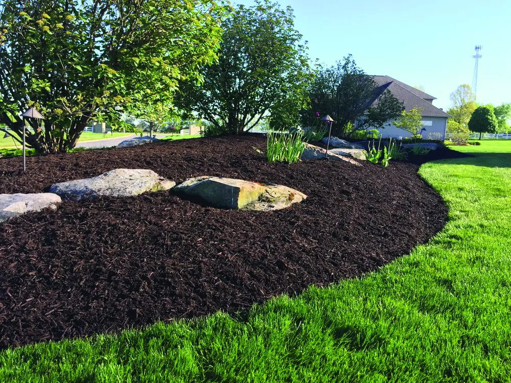 mulch mound 